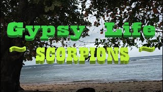 Gypsy Life Scorpions lyrics [upl. by Sleinad]