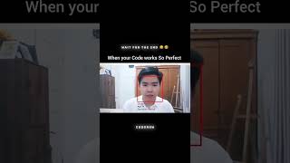 When Your Code Works So Perfect  shorts shortsfeed youtubeshorts [upl. by Timothea]