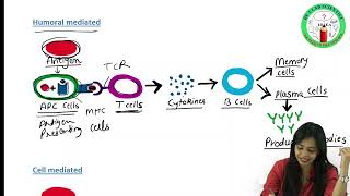 Antigen PART I  Types of Antigens  Immunogenicity  Antigenicity  Complete amp Incomplete Antigens [upl. by Wira228]