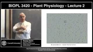 BIOPL3420  Plant Physiology  Lecture 2 [upl. by Nosiaj179]