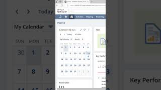 NetSuite Calendar Portlets [upl. by Ydneh]