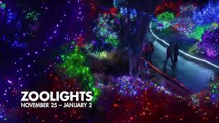 Experience the Magic of Zoolights [upl. by Anoi258]