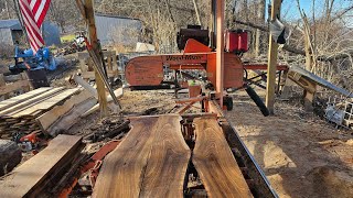 Sawing live edge lumber I was amazed of the beauty within this Junk log [upl. by Ihpen]