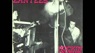 The Zantees  Rockin In The House 1980 [upl. by Megen]