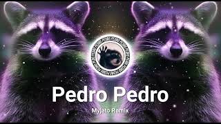 Raffaella Carrà  Pedro  Myjato Uptempo Remix [upl. by Brentt807]