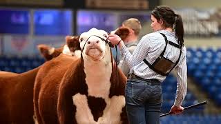 Sandhills Stock Show 2024 Highlight [upl. by Egrog]