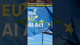 A Quick Overview of EU AI Act [upl. by Anertac]