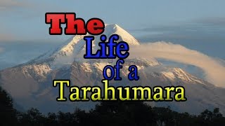 The Life of a Tarahumara  Pelicula Completa  HD [upl. by Nive32]