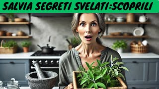 SALVIA I SUOI SEGRETI SVELATI SCOPRILI😮 [upl. by Nathan]