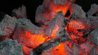 Robert Bly Poetry Reading A Fire That Nearly Blew Out 1988 [upl. by Ilbert]