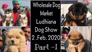 Wholesale Dog Market Ludhiana Dog Show 2nd Feb 2020 Part 1 [upl. by Kiley]