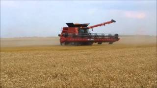 New Combine Case IH 9240 coupe 1250m [upl. by Richer]