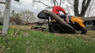 Dethatching With Agri Fab Tow Behind  Better Than By Hand [upl. by Ennahtur846]