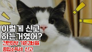 종합소득세 신고 과정 총정리 4단계로 끝내기  간편장부대상자  기준경비율  절세 방법  종소세 신고 [upl. by Anirdna455]