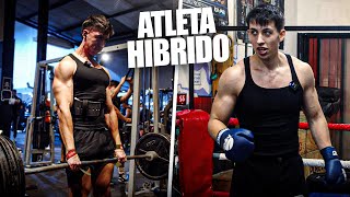 Como combino BOXEO y GYM para ganar músculo [upl. by Ahc]