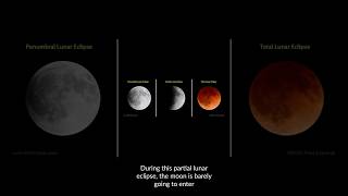 Eclipse Alert Partial Lunar Eclipse  September 17 2024 space astronomy lunareclipse [upl. by Anaeg]