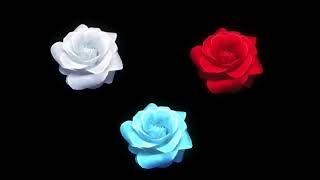 Flower Animation by using HTML and CSS [upl. by Allina]