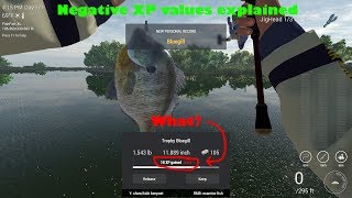 Fishing Planet Ep 14  Negative XP explained [upl. by Eveineg]