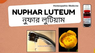 Nuphar Luteum  নুফার লুটিয়াম  Materia Medica  Learn Nuphar luteum easily [upl. by Buffo]