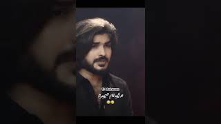 Tadfeen Imam Hussain as WhatsApp Status  Halar Ahmed [upl. by Kutzer892]