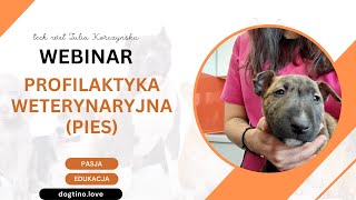 DARMOWY WEBINAR  profilaktyka weterynaryjna psy [upl. by Ezar928]