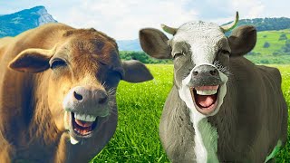 Funny Cow Dance 2  Cow Song amp Cow Videos [upl. by Kra]