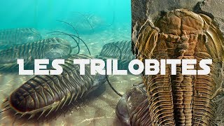 Les Trilobites [upl. by London]