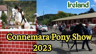 Connemara Pony Show 2023 [upl. by Sonitnatsnok]