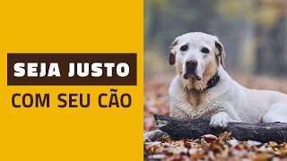 Não seja INJUSTO com seu cão [upl. by Eserrehs]