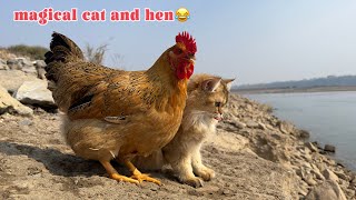 So cute and funny😂 The kitten took the hen to see the sea view the happiest hen in the world [upl. by Nayra]