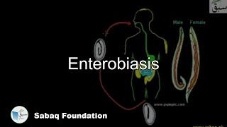 Enterobiasis Biology Lecture  Sabaqpk [upl. by Gorga]