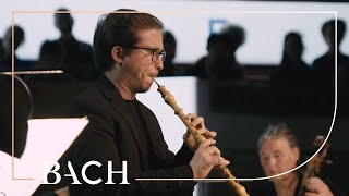 Bach  Oboe concerto in D minor BWV 1059R  López Paz  Netherlands Bach Society [upl. by Gesner619]