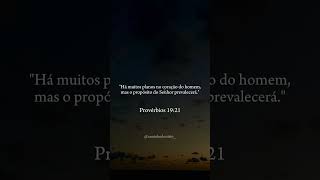 Provérbios 1921 🤍✨ deusnocomando deus versiculobiblico shorts [upl. by Aihsemek186]