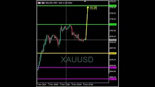 20241108日内交易 黄金（预测） trading forex stockmarket forextrading forextrader trader gold [upl. by Aneloc524]