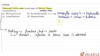 PasteurellaYersinia pestis causal agent of bubonic plague is transmitted by  11  ANIMAL KIN [upl. by Franzoni]