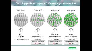 Foundational Counting in ddPCR [upl. by Enelrahs101]