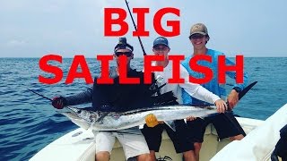 Surprise Sailfish While Live Bait Fishing  Feat Waterspot [upl. by Ardnuhsal]