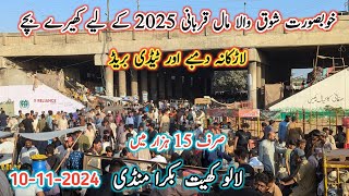 Lalukhet Bakra Mandi Latest Update l 10 Nov 2024 l Bakra Mandi 2024 Karachi l Bakra Mandi 2024 l [upl. by Eerolam]