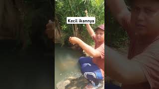 Mancing ikan wader [upl. by Nevs787]