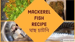 Simple and Quick Mackerel Fish Recipes Mackerel Satni [upl. by Che]