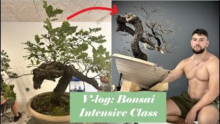 Bonsai Kurs Vlog Intensive 2024 in Italien bei Mauro Stemberger [upl. by Pittman]