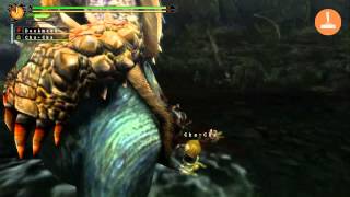 Monster Hunter 3 Ultimate Tutorial  so fangt ihr Ungeheuer Beispiel Arzuros [upl. by Maziar858]