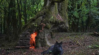 Camping and survival inside big tree in heavy rain [upl. by Benis]