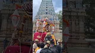 Bannerghatta Dussehra elephant [upl. by Zurc153]