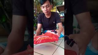 Unboxing ular blue insularispit viper high venom [upl. by Schurman]