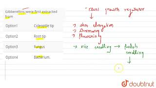Gibberellins were first extracted from [upl. by Aela435]