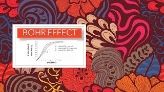 Bohr Effect What is Bohr Effect Effect of pH and the role of Hemoglobin in Oxygen amp CO2 Transport [upl. by Kcirdderf]