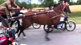 tangarace lalbadshah try [upl. by Clava]