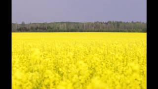 Liepājas Brāļi  Par to gadījumu ar Džordano Bruno [upl. by Ehcor630]