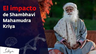 Mejora tu vida con Ingenería Interior Shambhavi Mahamudra Kriya  Sadhguru Español [upl. by Nessa]